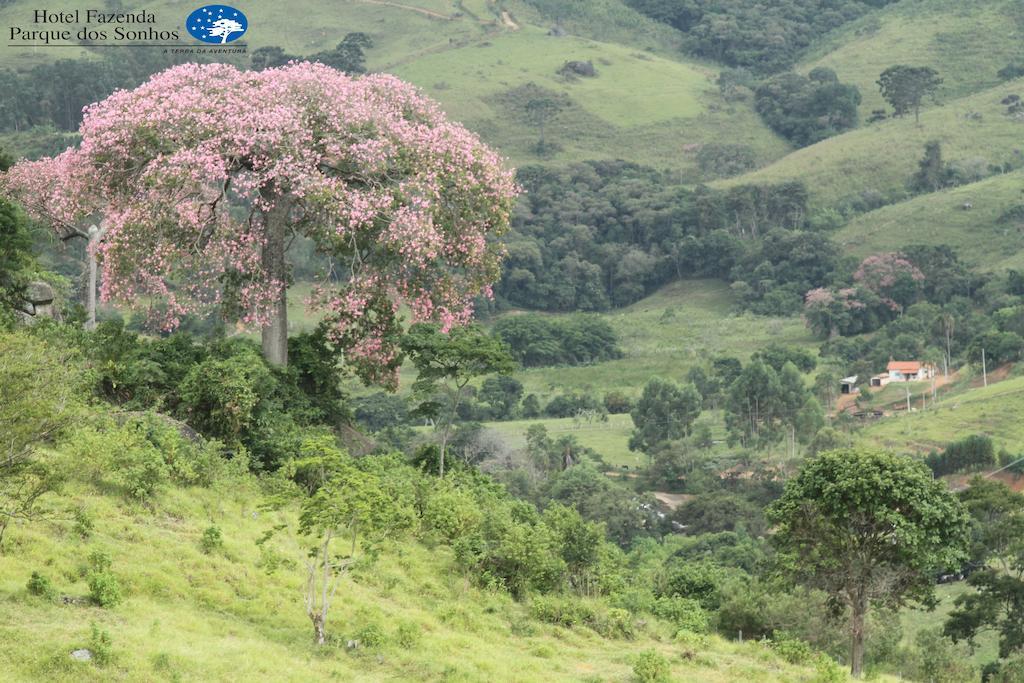 Hotel Fazenda Parque Dos Sonhos Socorro  Ngoại thất bức ảnh