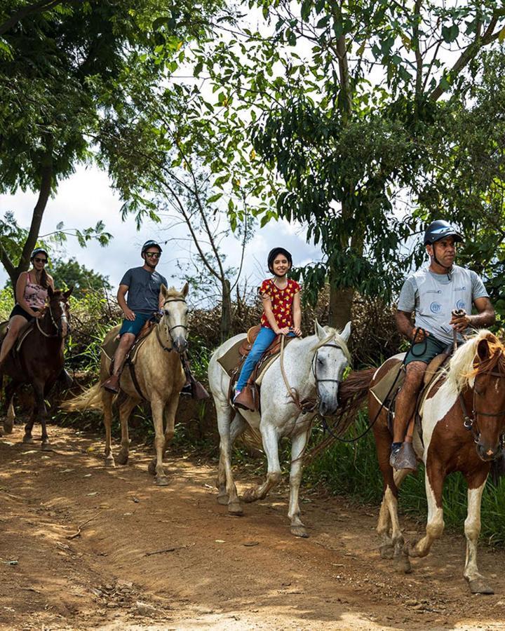 Hotel Fazenda Parque Dos Sonhos Socorro  Ngoại thất bức ảnh
