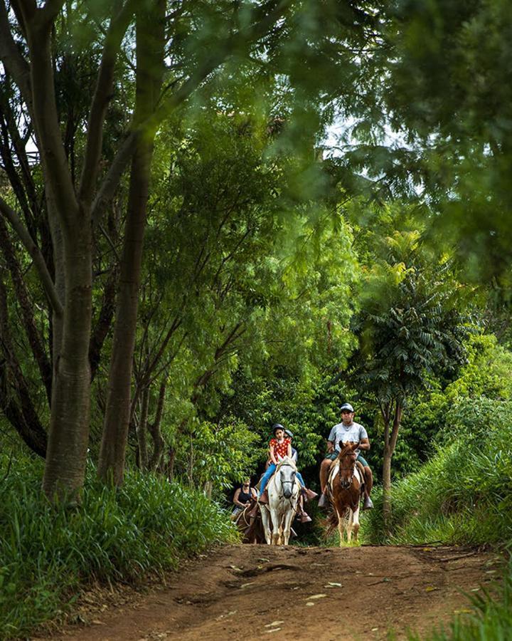 Hotel Fazenda Parque Dos Sonhos Socorro  Ngoại thất bức ảnh